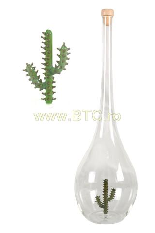 Sticla cactus model 2